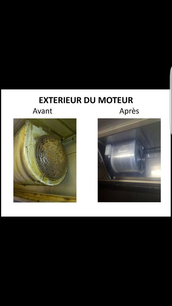 14608702 1148090595297976 678548889761462852 o