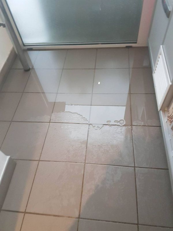 18948810 10155524177264701 1203334231 o