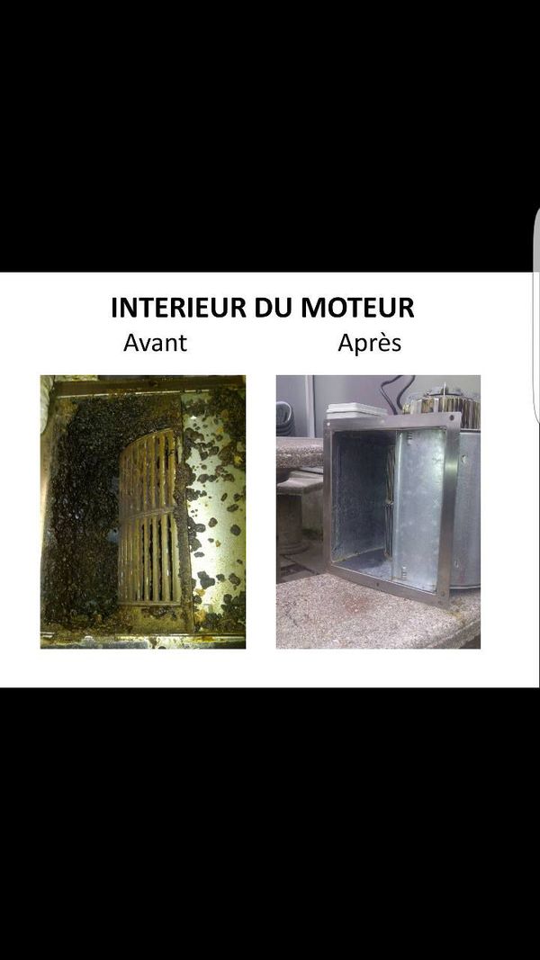 14612378 1148090528631316 5065033772301204807 o