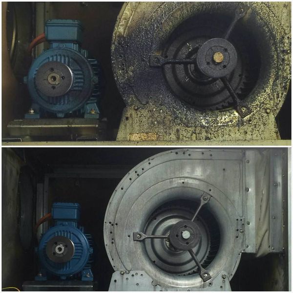 14925279 1161704750603227 4220183279423795257 n