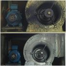 14925279 1161704750603227 4220183279423795257 n