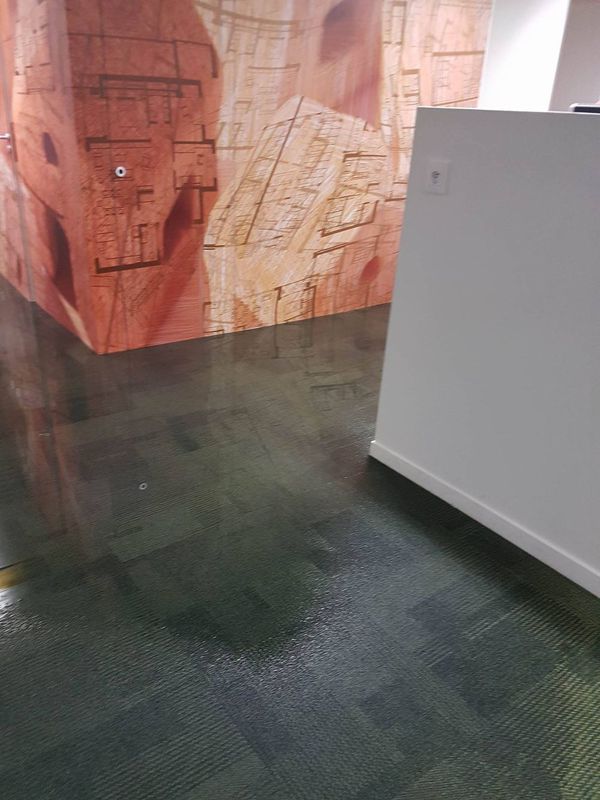 18947194 10155524177709701 834821884 o