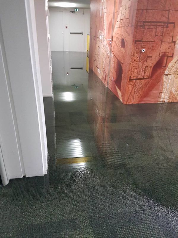 18947336 10155524177669701 132761533 o